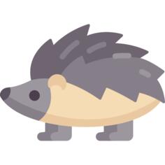 Hedgehog