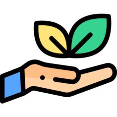 Hand