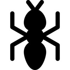 Ant