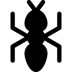 Ant