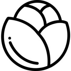 Cabbage