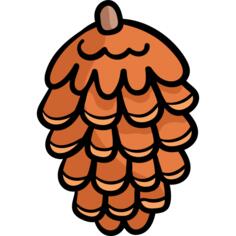 Pine cone