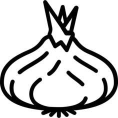 Shallot