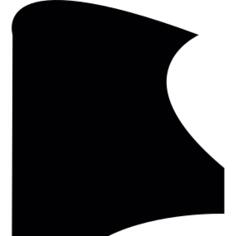 Irregular shape shield