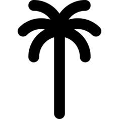 Palm tree