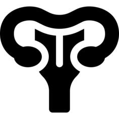 Uterus