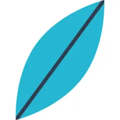 冲浪板