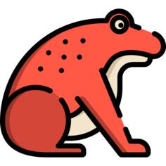 蟾蜍