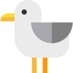 Seagull
