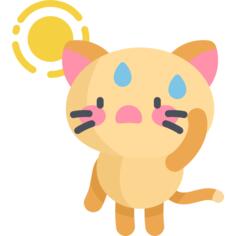 猫咪