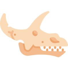 Fossil