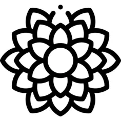 大丽花