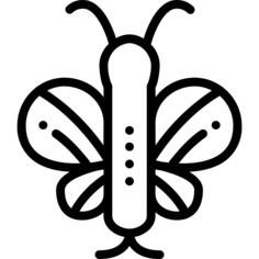 蝴蝶