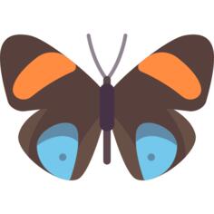蝴蝶
