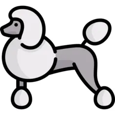 贵宾犬
