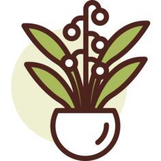 植物