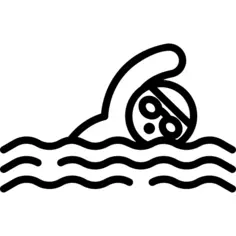 游泳的