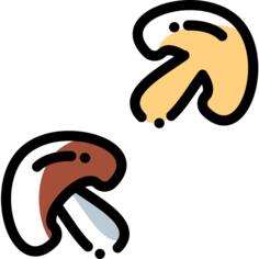 蘑菇