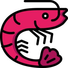 Shrimp