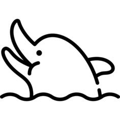 海豚