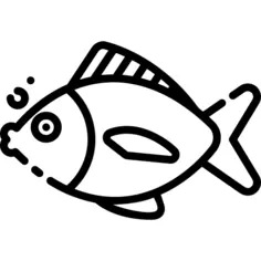 鱼