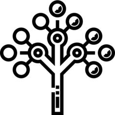 Phylogenetics