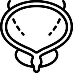 膀胱