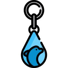 Key ring