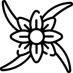 花艺设计