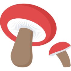 蘑菇