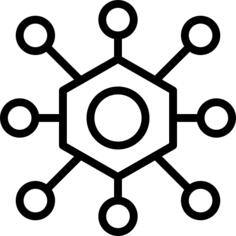 Network