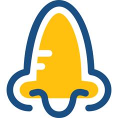 Nose
