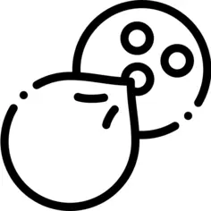椰子