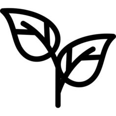 Leaf