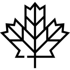 枫叶