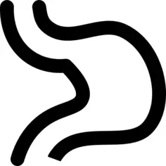 胃