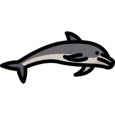 Dolphin