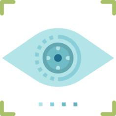 Eye scan
