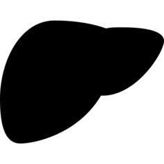 Liver