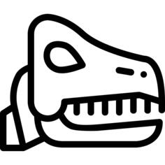 Fossil