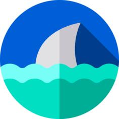 Shark