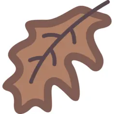 Leaf