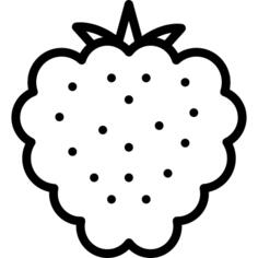 Raspberry