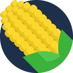 Corn