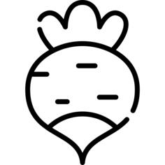 萝卜