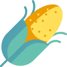 Corn