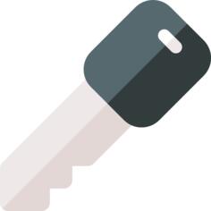 Car key