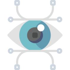 Vision