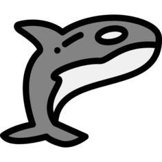 鲸