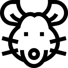 鼠